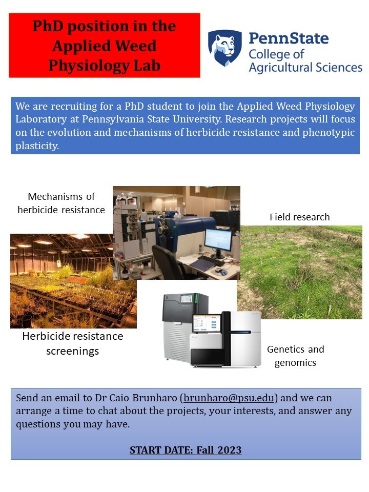 Caio Brunharo tweet media