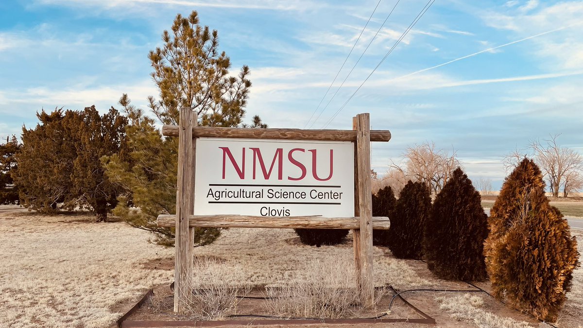 Atinderpal Singh (@atinderpal23) on Twitter photo Started working as Postdoctoral Research Associate at New Mexico State University, Agricultural Science Center, Clovis, NM <a href="/nmsu/">New Mexico State</a> <a href="/NMSUaes/">NMSU AES (Ag Experiment Station)</a> Started working as Postdoctoral Research Associate at New Mexico State University, Agricultural Science Center, Clovis, NM <a href="/nmsu/">New Mexico State</a> <a href="/NMSUaes/">NMSU AES (Ag Experiment Station)</a>