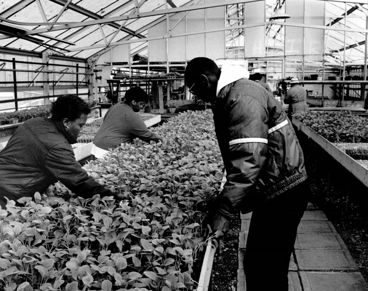 Sumner Museum is excited to share images from the Bill Webb Collection.
Please comment if you see yourself or someone you know photos! Your memories illuminate the Proud History of Public Schools in Washington, DC. 

#SANKOFA #GoBackAndFetchIt #BHM23 #BlackHistoryMonth