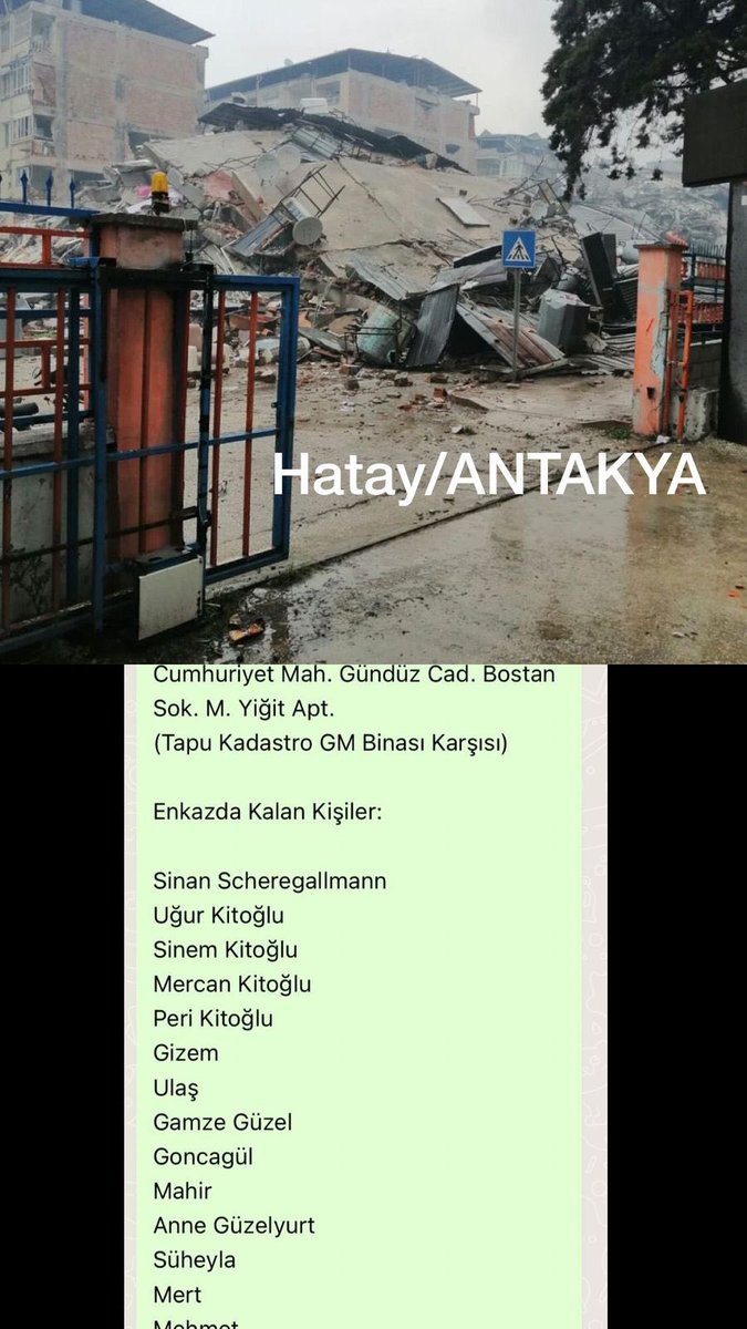 Alper Kayman tweet media
