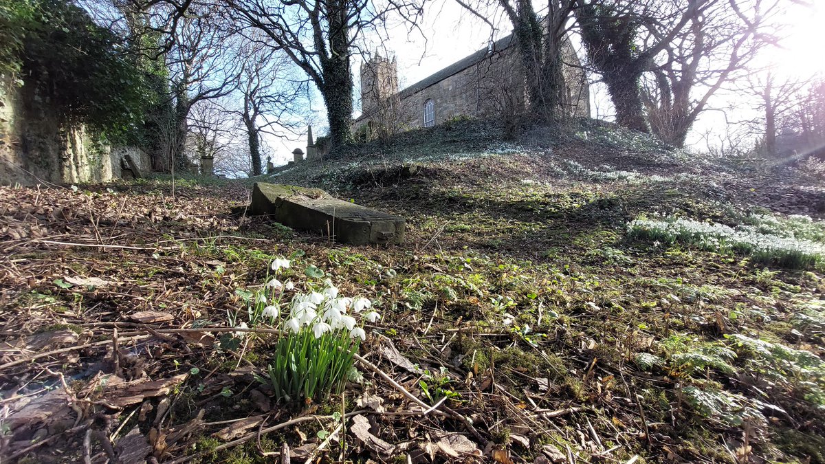 aljaroo1874's tweet photo. Today's #Run took me over the 1745 #BattleOfPrestonpans fields &amp; up to #TranentParishChurch where the #CameronHighlanders of the #JacobiteArmy used the #Churchyard walls as defenses to fire on #SirJohnCope &amp; the #BritishArmy 
#EastLothian https://t.co/VWUYHPjccm