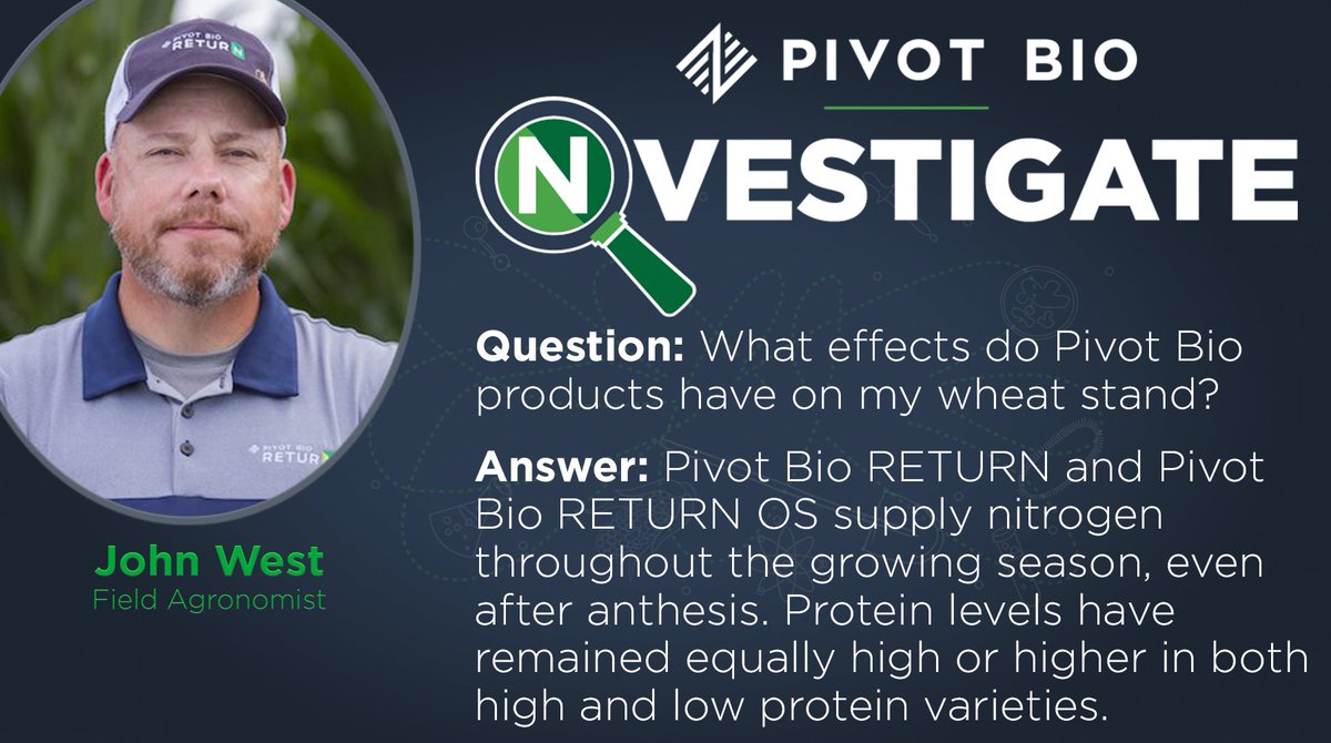 When you think of Pivot Bio products, do you automatically think #corn? Today, we #NVESTIGATE what Pivot Bio RETURN can do for your wheat crop 🌾  pivotbio.co/return