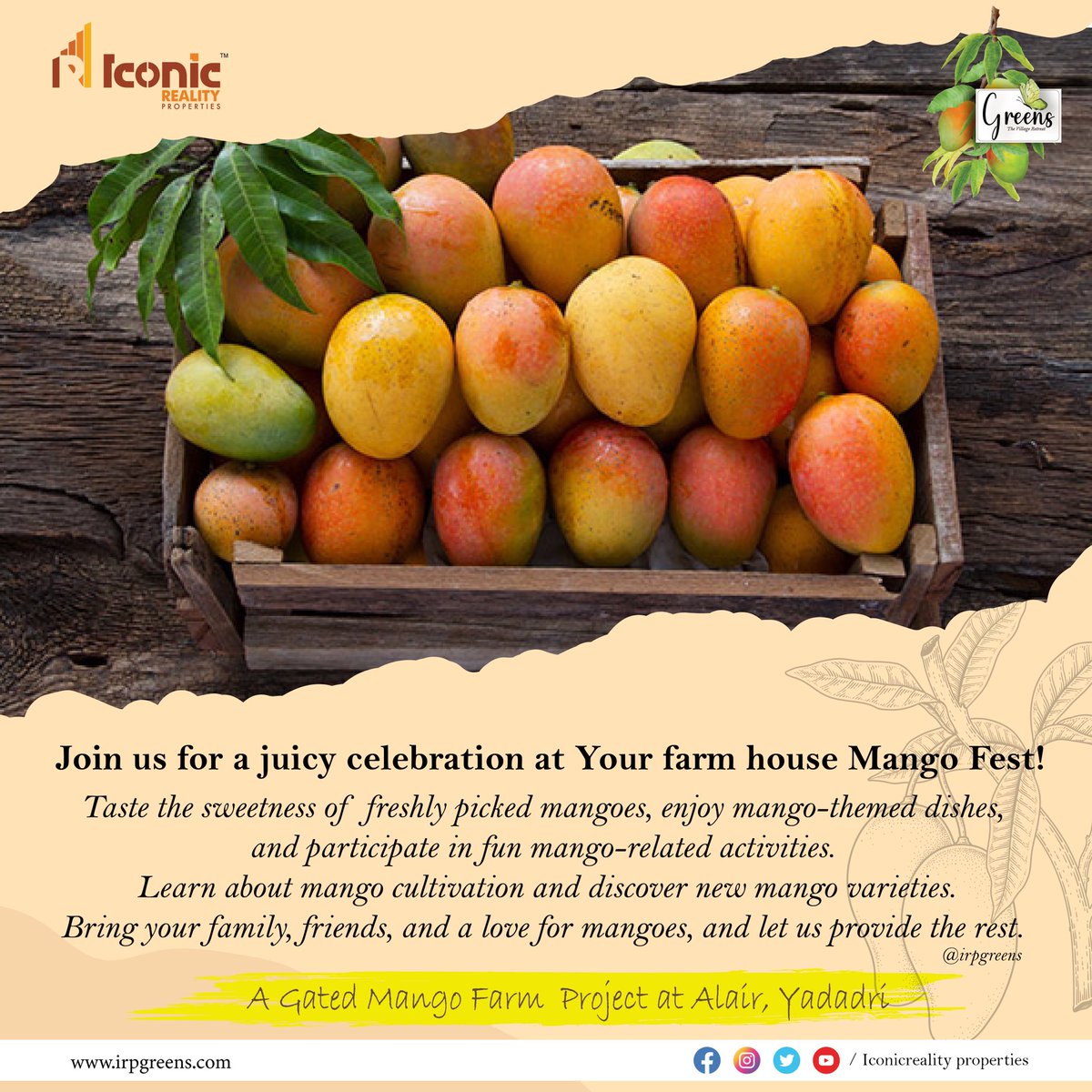 iconic__reality's tweet photo. Get ready for Summer Mango Fest at our farmhouse! Enjoy juicy and sweet mangoes straight from the farm. Not only do you get to taste delicious mangoes but you can also invest in your future by buying our farmland! #MangoFest #SummerFun #InvestInFarms" https://t.co/QJVBKvHbws