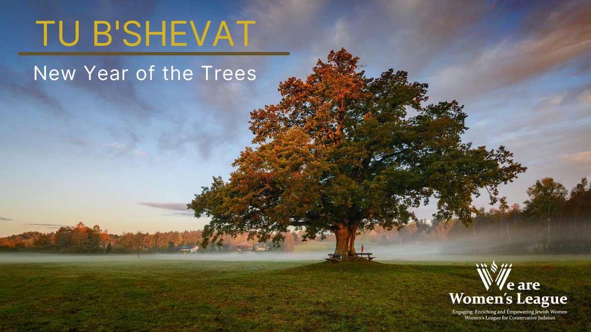 MyWLCJ's tweet photo. Tu B'Shevat, the 15th day of #Shevat, a new year for trees. A reminder to all of us that we plant seeds for a world of tolerance and appreciation of every individual.
#TuBShevat #mywlcj #BYachad #tubishvat https://t.co/nyI5efKedA