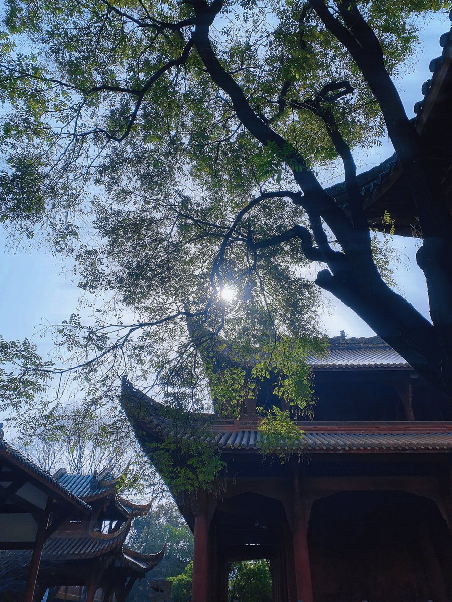 枸名gomin tweet media