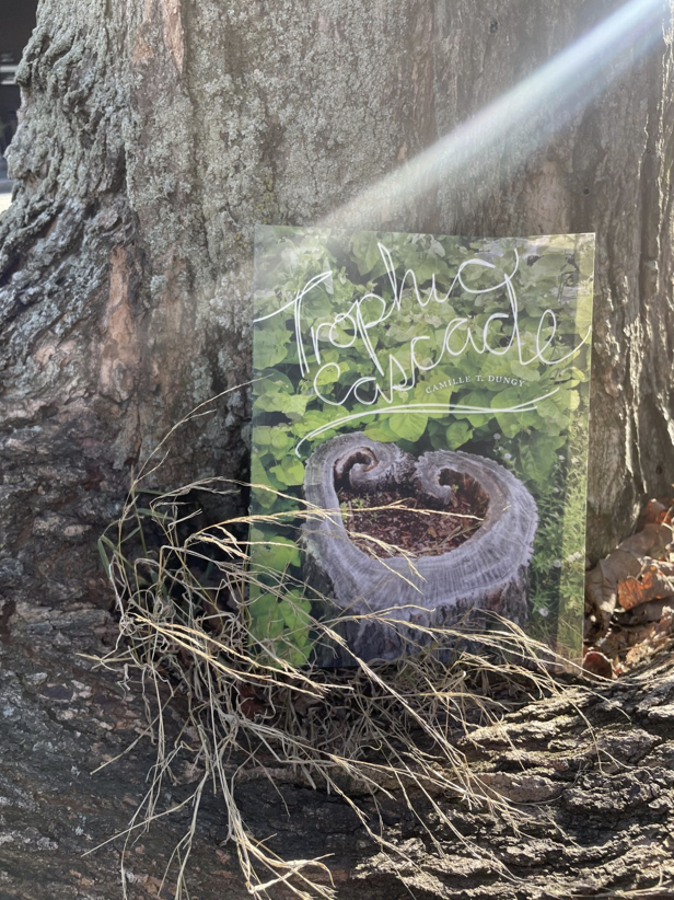 broadsidedpress's tweet photo. "[Camille] Dungy’s latest collection, Trophic Cascade, examines the language of motherhood, legacy, poetry, &amp; power. This is a book of transformations &amp; transfigurations of the landscape &amp; of the body."

Read Jennifer Martelli's #BroadsidesToBooks review: https://t.co/qBr4YLnetP https://t.co/iqosrwN24g