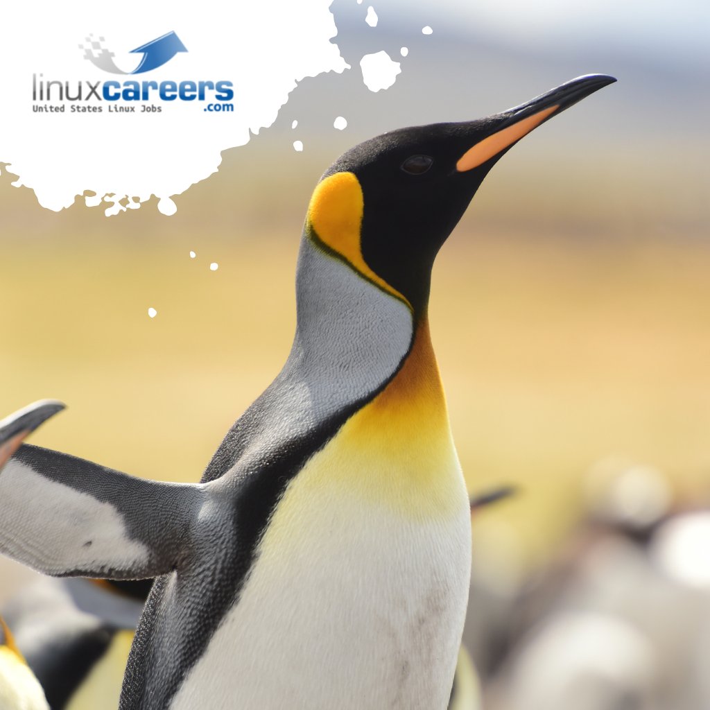 linuxcareer's tweet image. Have you ever wondered why the Linux mascot is a penguin? Some say Linus chose the animal because he was once bitten by a penguin and others say it was due to his fondness for the animal! 
#Linux #LinuxCareers #LinuxTips #CareerOpportunities #CloudEngineer #LinuxAdministration