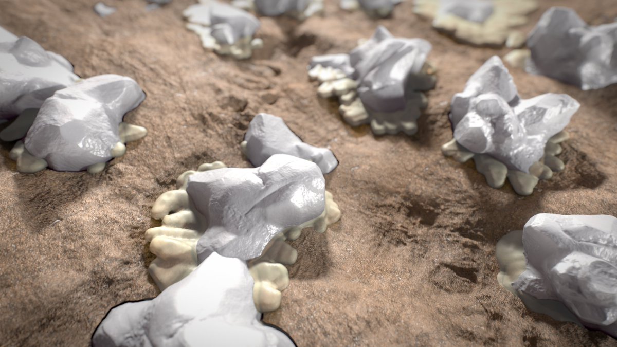 Did you know that unlike coated interbody fusion devices, PEEK-OPTIMA HA Enhanced devices have hydroxyapatite crystals on all surfaces, resulting in earlier bone on-growth &amp; greater new bone formation on a fully osteoconductive implant? 

Learn more: ow.ly/75nf50MKuBR