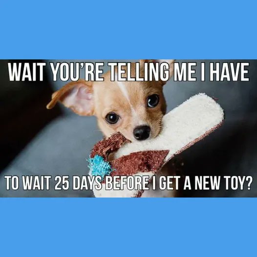 #FunMonday! 🤣 🐶
  
Wait, you’re telling me I have to wait 25 days before I get a new toy?
  
Community Bark Dog Wash &amp; Groom - See what we're barking about!
📍2430 S Kinnickinnic Ave. Bay View, WI 53207
📲Text or Call:(414) 744-2275
🐕communitybark.net

#dogmemes #monday