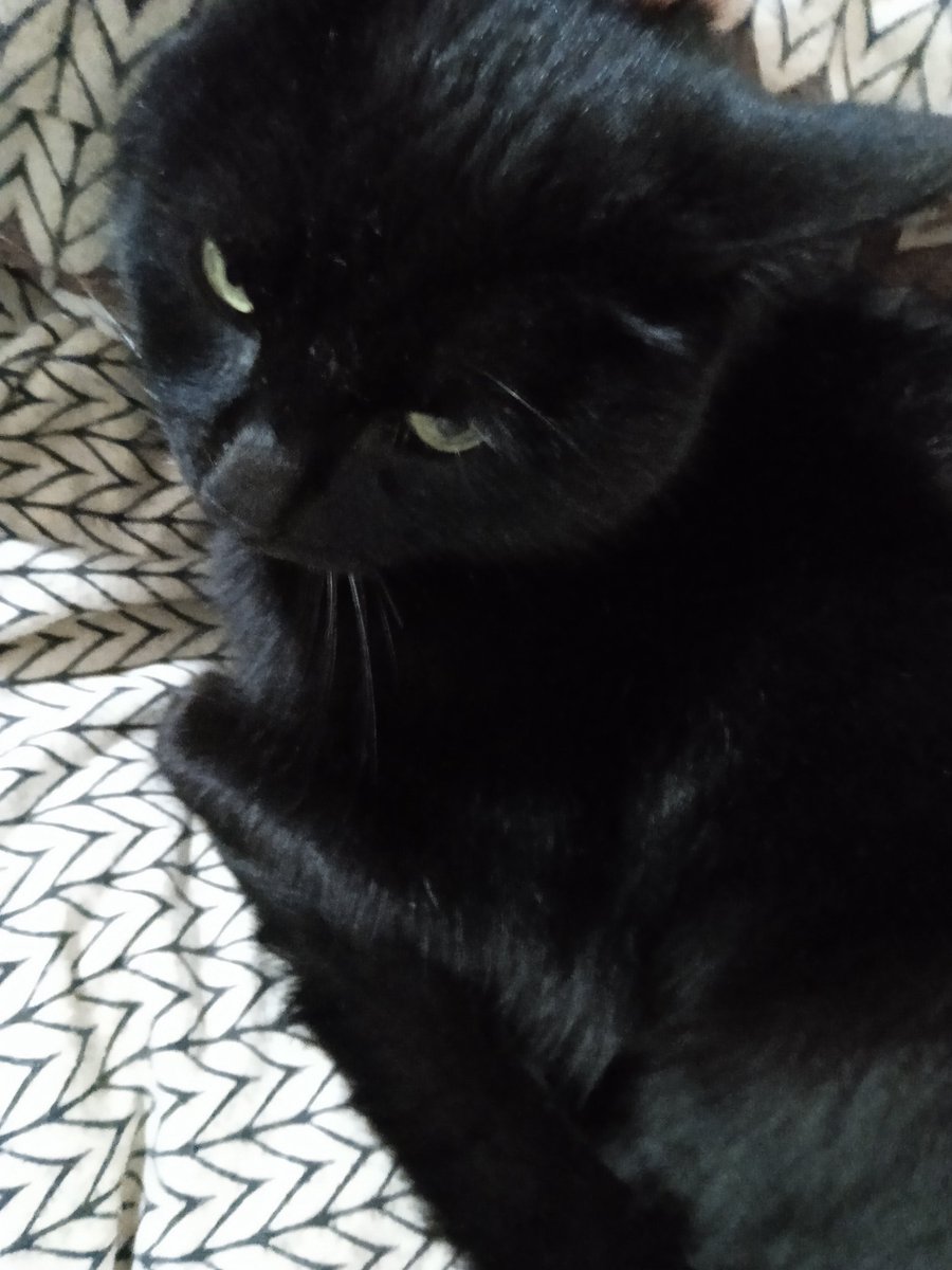 чира (@chiiira777) on Twitter photo 