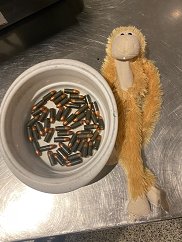 Tsa_SouthWest's tweet photo. .#Friday @TSA officers @AUStinAirport discovered 50 rounds of ammo hidden in 🙈🙉🙊See, hear & speak no prohibited items even in a stuffed🐒 Reminder that bullets should never go in carry-on🧳& be kind to animals, even the stuffed ones. https://t.co/N22xykfKbc