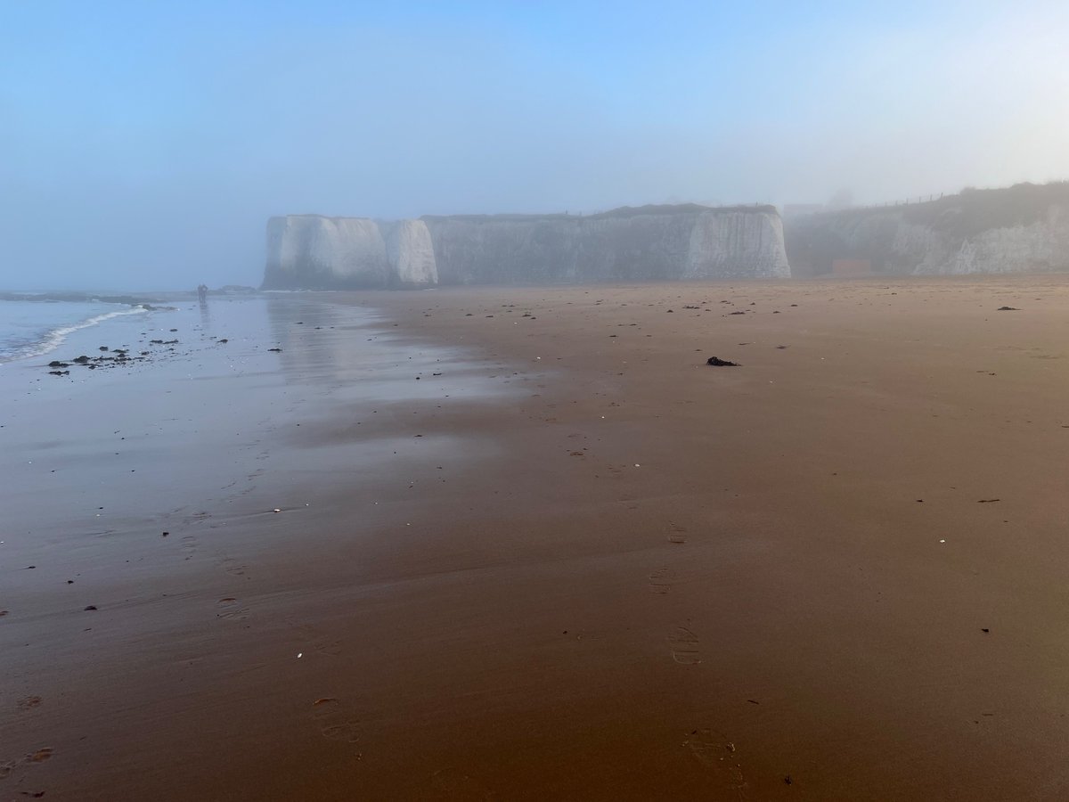 botany_of's tweet photo. Beautiful, foggy conditions this afternoon here in #BotanyBay #Thanet #Kent as our @southernwater sponsored #beachclean chap is out and about  litter picking the clifftop and #beaches . https://t.co/vwG54AamrR