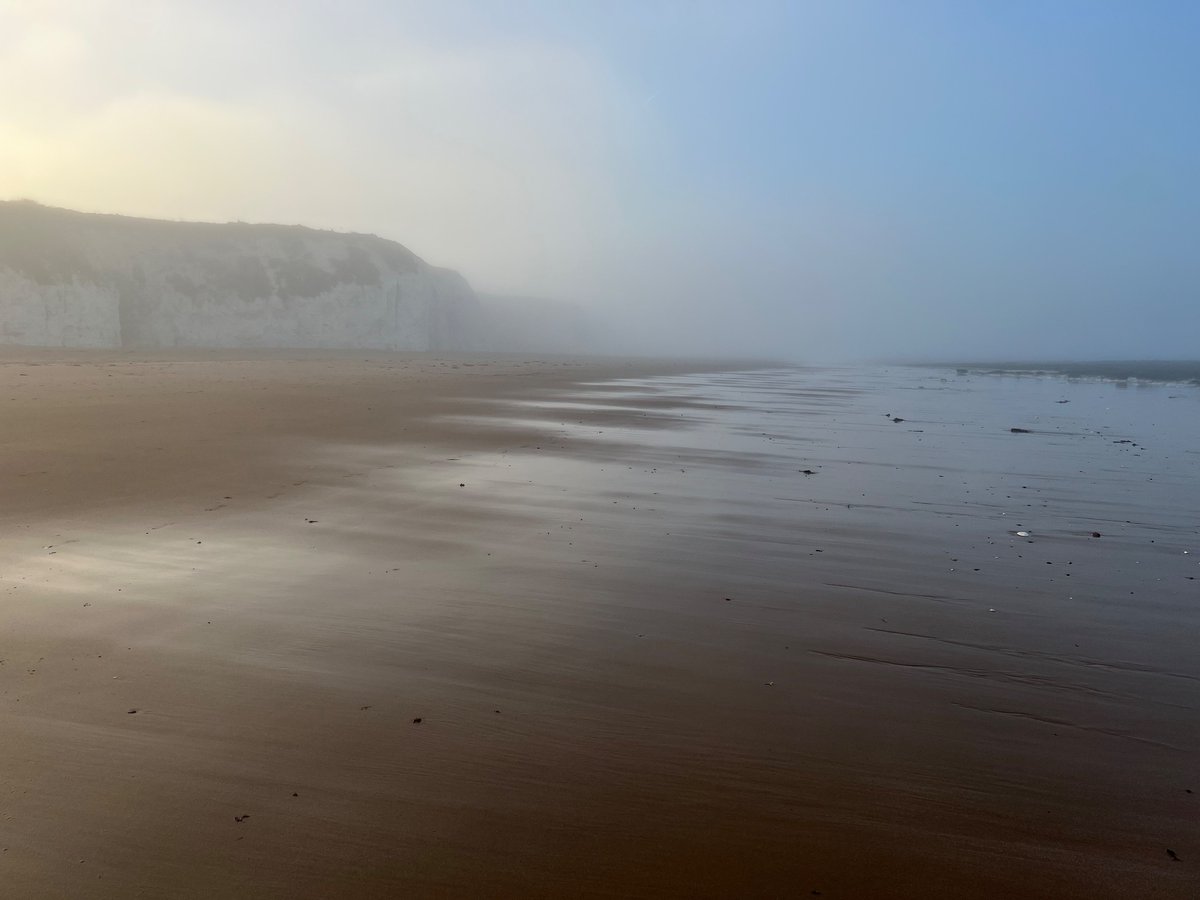 botany_of's tweet photo. Beautiful, foggy conditions this afternoon here in #BotanyBay #Thanet #Kent as our @southernwater sponsored #beachclean chap is out and about  litter picking the clifftop and #beaches . https://t.co/vwG54AamrR