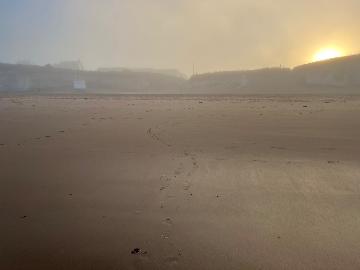 botany_of's tweet photo. Beautiful, foggy conditions this afternoon here in #BotanyBay #Thanet #Kent as our @southernwater sponsored #beachclean chap is out and about  litter picking the clifftop and #beaches . https://t.co/vwG54AamrR