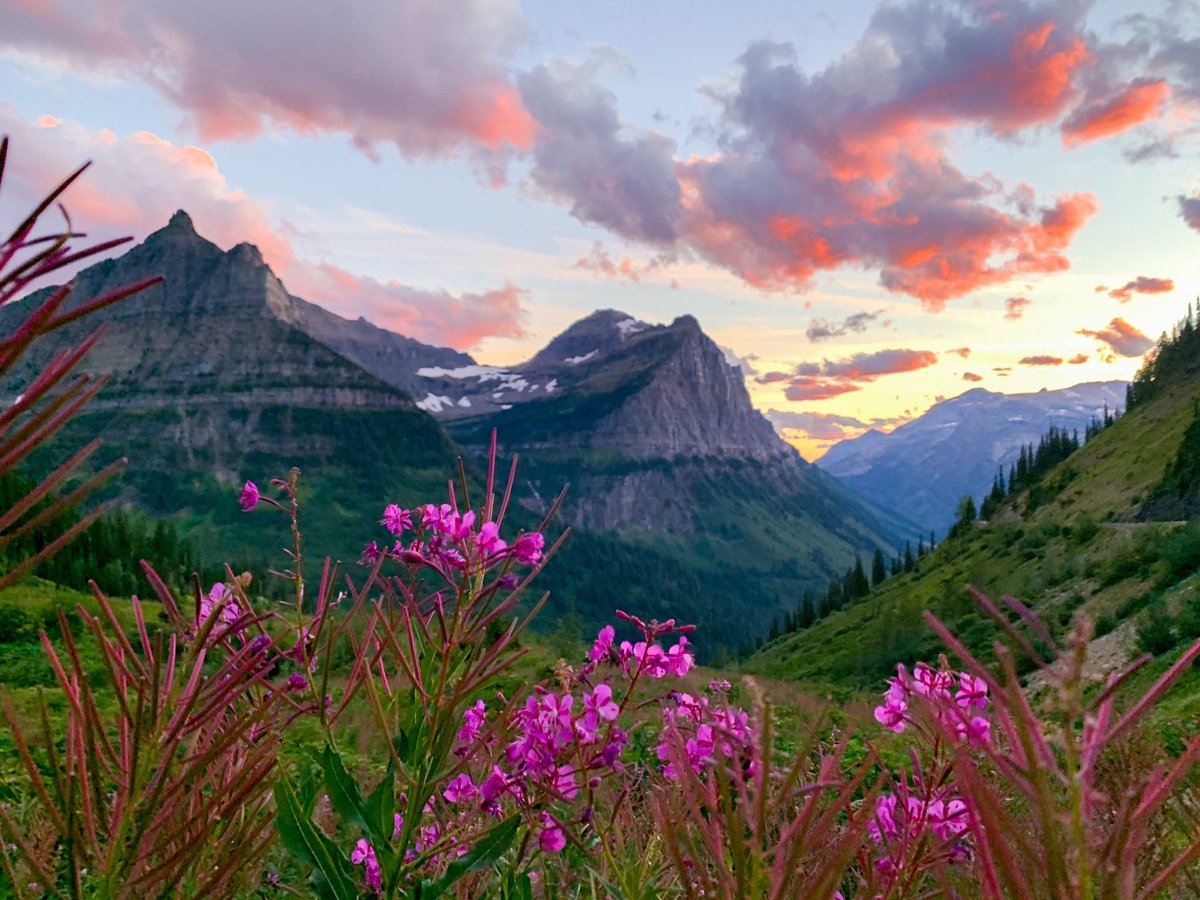 tlmahan's tweet photo. @GlacierNPS This view I snapped in 2019 or 2020 is a particular favorite of mine 😍 https://t.co/4CzhHQphz3