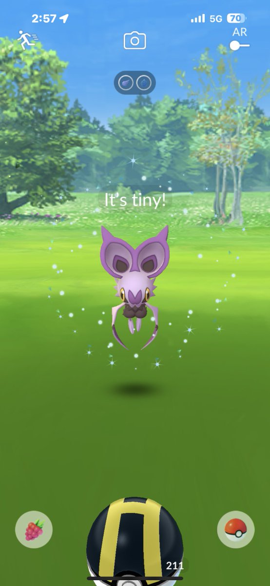 Qshinys's tweet photo. 🦇💜🥹 XXL &amp; XXS 🥰
#CommunityDay https://t.co/FLI9FVXEES