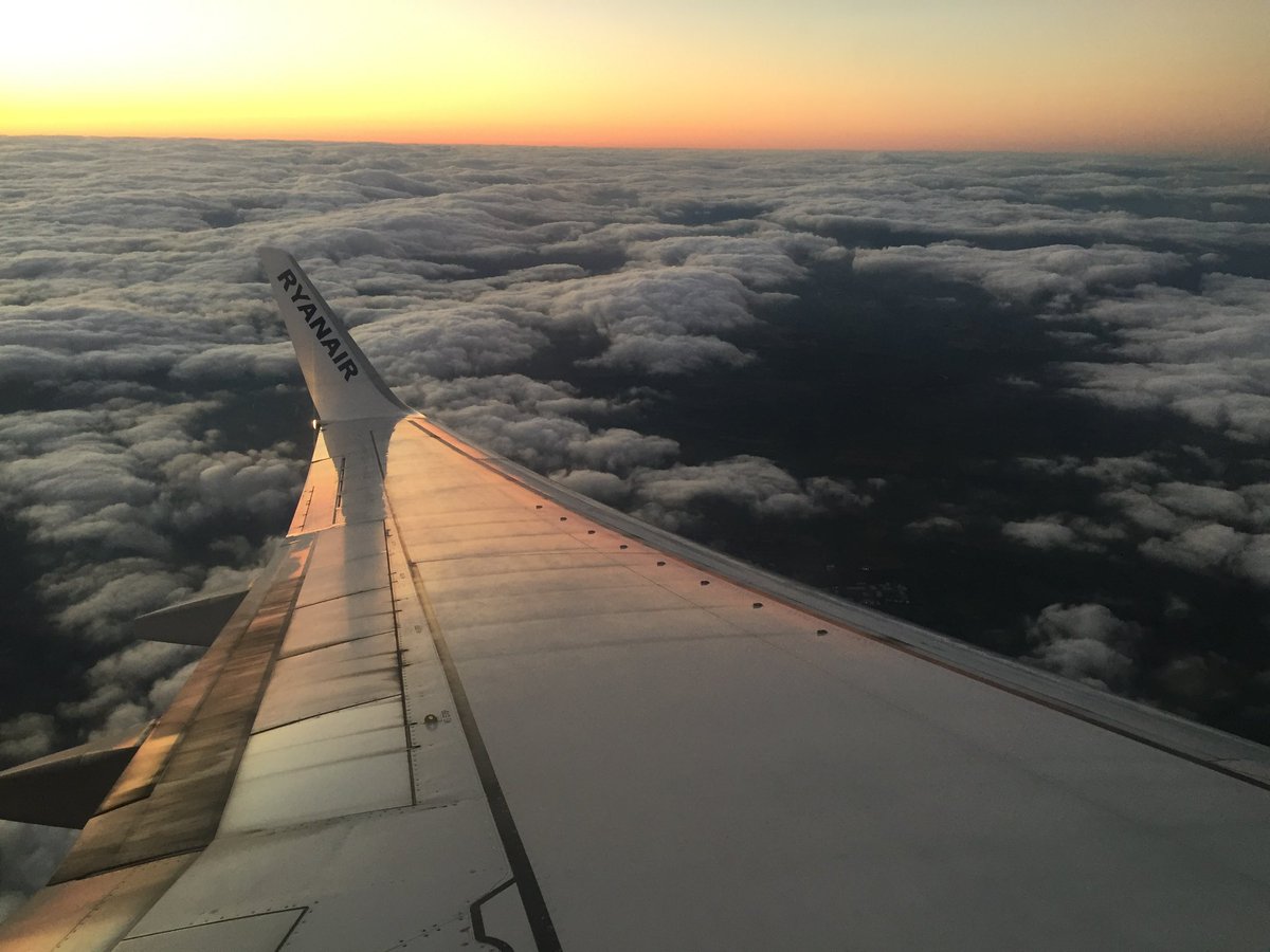 Michelle Clark tweet media