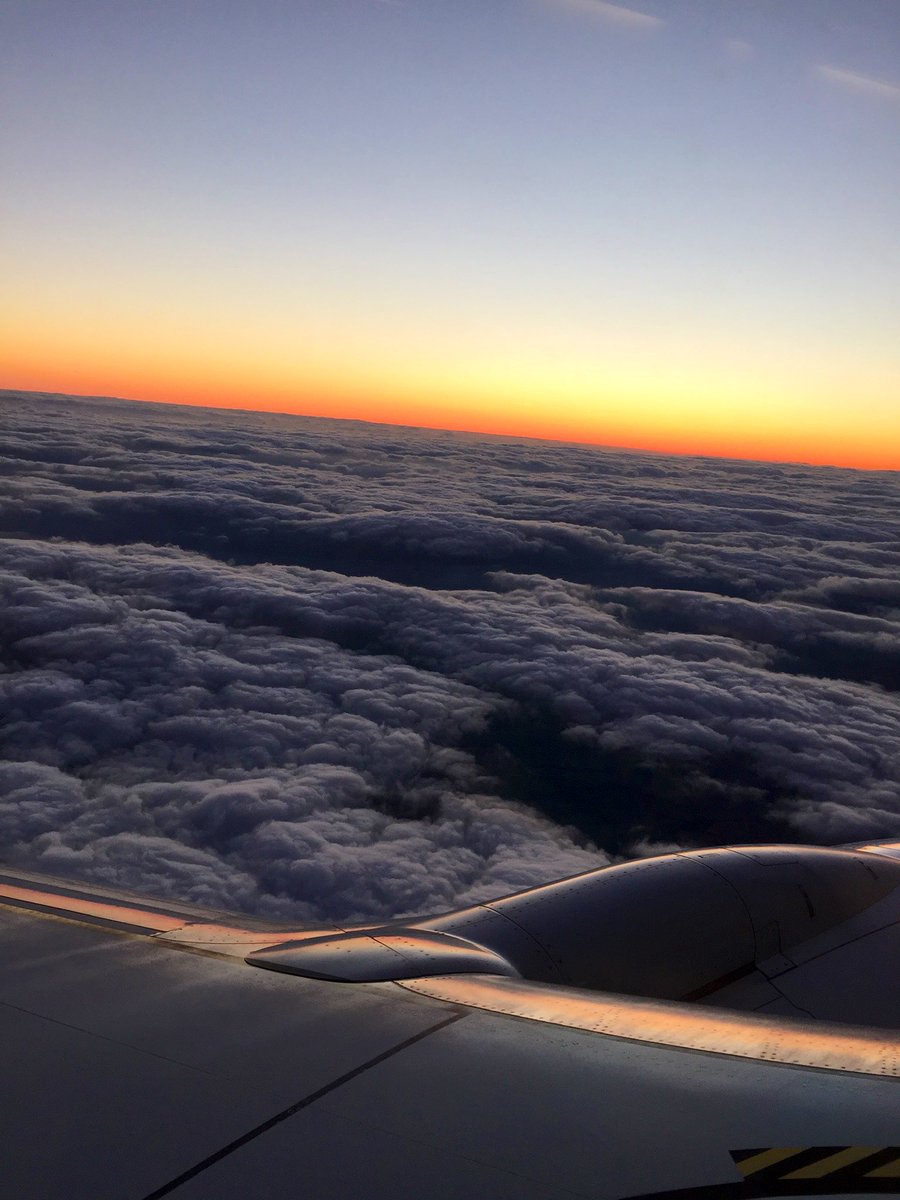 Michelle Clark tweet media