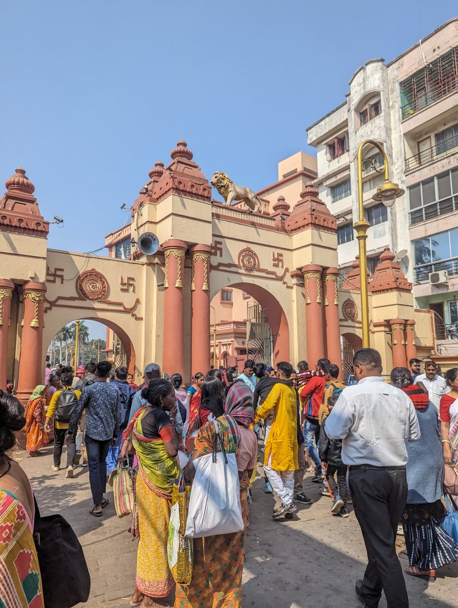 Tyler King tweet media