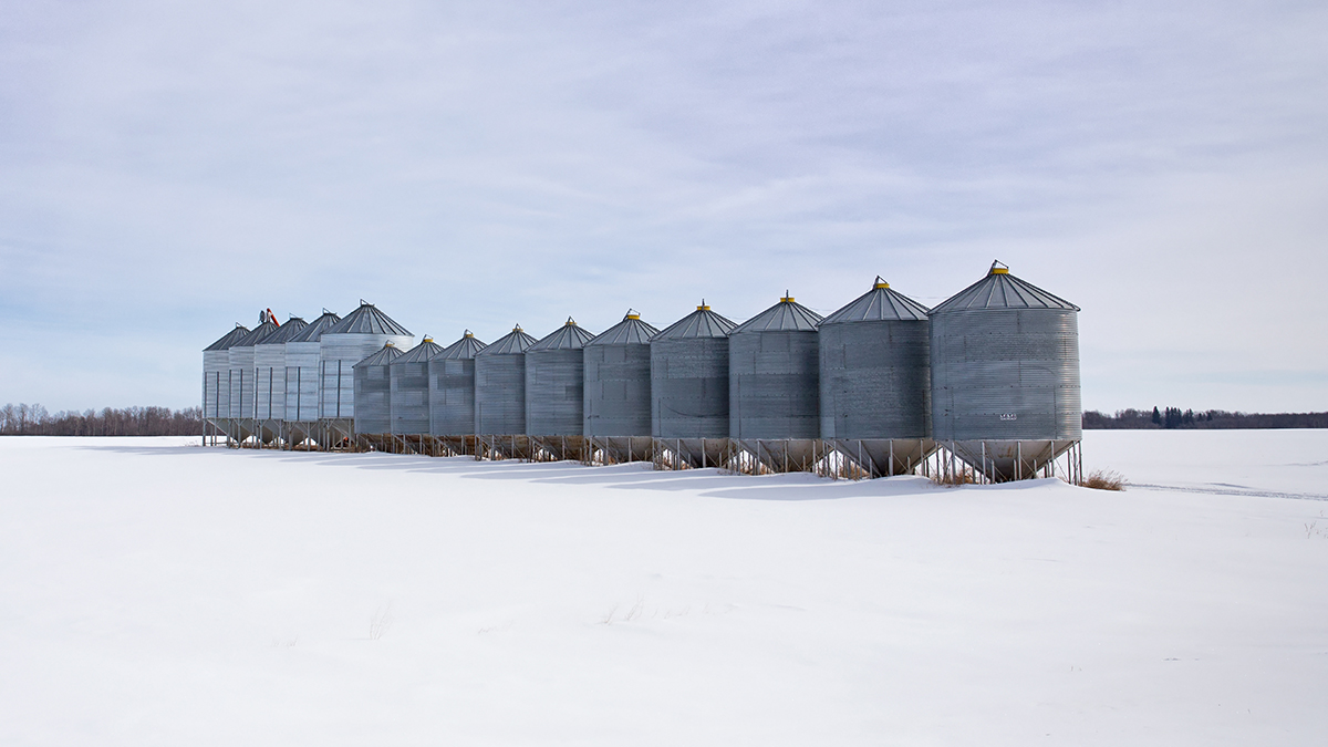 Avez-vous vérifié la température et l’humidité dans vos cellules de stockage dernièrement? Vérifiez l’état de votre grain entreposé aux 2 semaines pour aider à prévenir sa détérioration: ow.ly/1FWJ50MIabh #AgCan