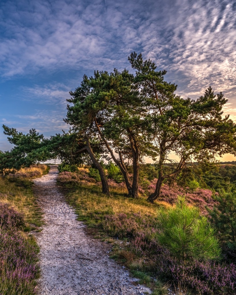 #zuidlimburg #zoomnl_landschap #cameranu_nl #wandernmachtglücklich #heelholland_fotografeert #set2rise #sunset_ilike #hollandlove #landscapeshot #Landscaper #viewmysunset #princely_shotz #draussenunterwegs #passion_4_living_photos #fantastic_Earth #sky #… instagr.am/p/CoU1520MhMo/