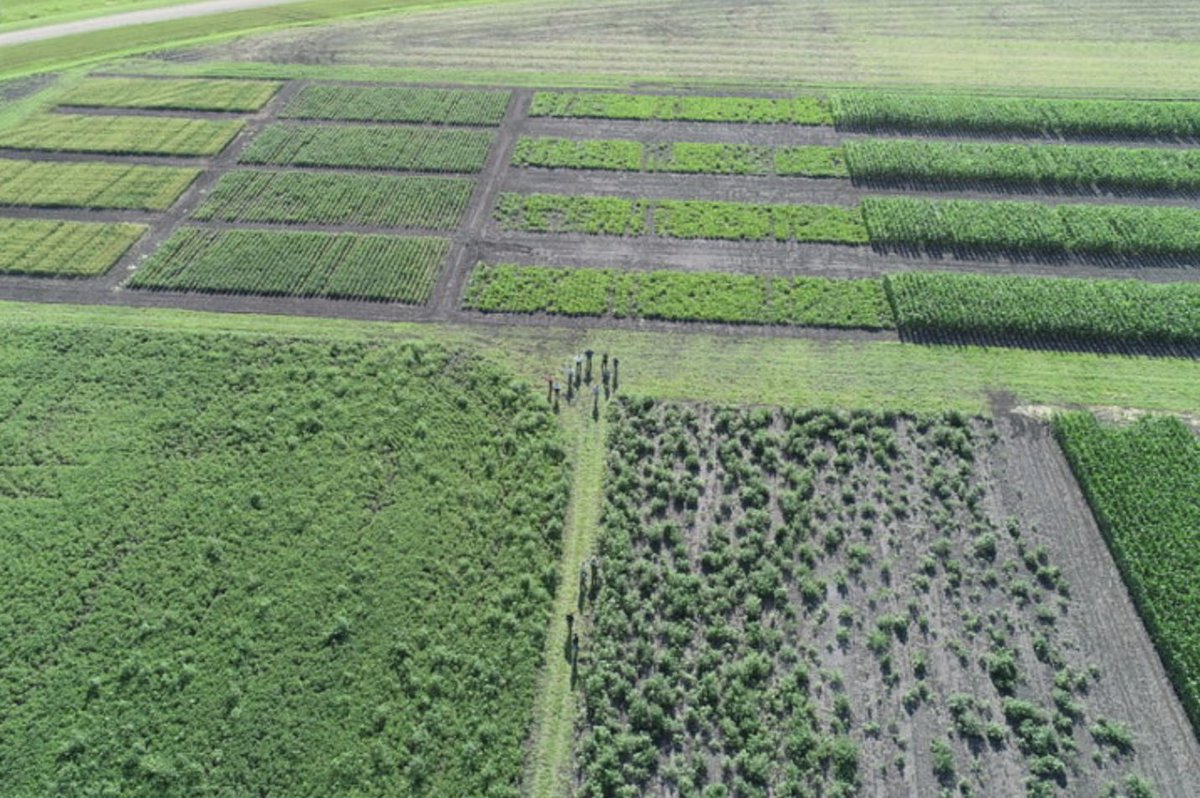 This is the <a href="/TheGrandFarm/">Grand Farm</a> in Fargo, ND, a research farm to test &amp; develop ag technologies. In Part 2 of Skyward Apps' series, in the Digital Trenches, Director Brian Carroll explains how farmers’ pain points are informing new technologies. #agtwitter lnkd.in/gDmEWH2G
