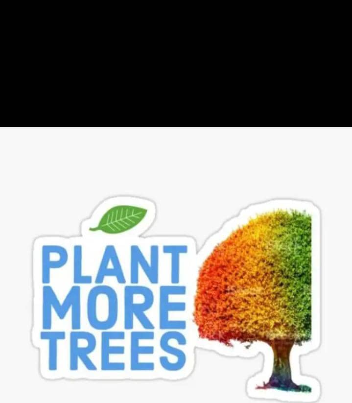 FriendsofMiti's tweet photo. Yes to this! https://t.co/vTHMmzQwI4