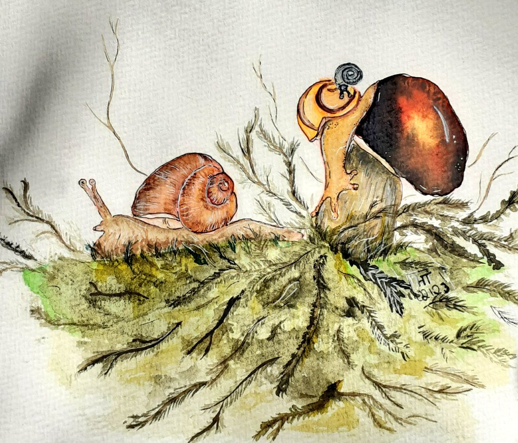 Some snails for this month's #scribbleintoart.

#kleineKunstklasse