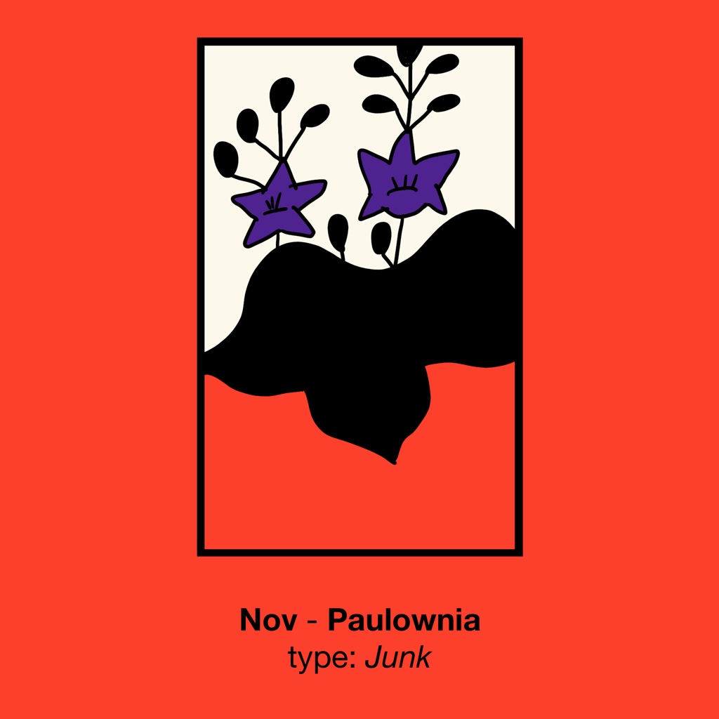 sommattuu's tweet image. #cardgame #GoStop Nov - Paulownia - Junk
#timelapsedrawing: tiktok.com/@sommattuu/vid… 
#drawing #illustration #cartoon