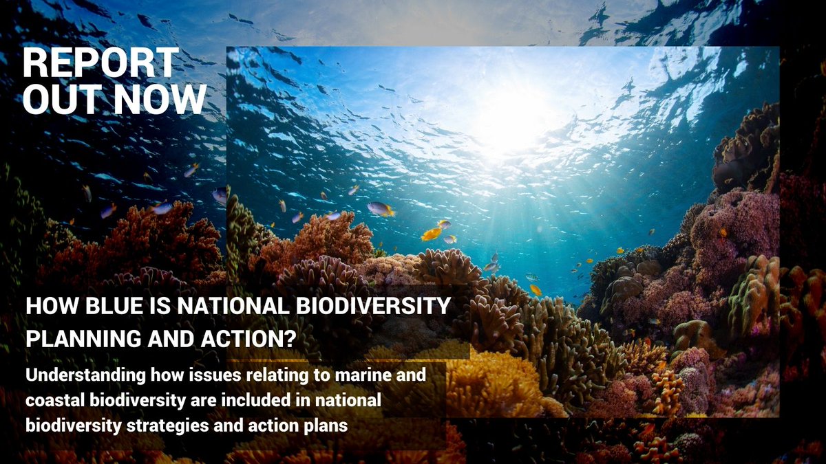 unepwcmc's tweet photo. How well do national action plans #ForNature cover marine and coastal #biodiversity? 🐬🪸🌊

UNEP-WCMC and partners looked at case studies and used computational analysis to review 145 NBSAPs.

Discover more in our new report➡️ https://t.co/uF0d3SArsE
#UN2023WaterConference https://t.co/dMaPhcIfHJ