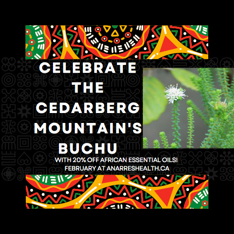 Buchu's scent is #minty and #fruity, with that 'cat pee' edge that makes #perfumes intriguing!

Check out buchu! anarreshealth.ca/product/buchu-…

#MadeInToronto #Toronto #ShopSmall #ShopLocal #Bloorcourt #BloorWest #Aromatherapy #ZeroWaste #ShopEthical #Fairtrade #Green #DIY