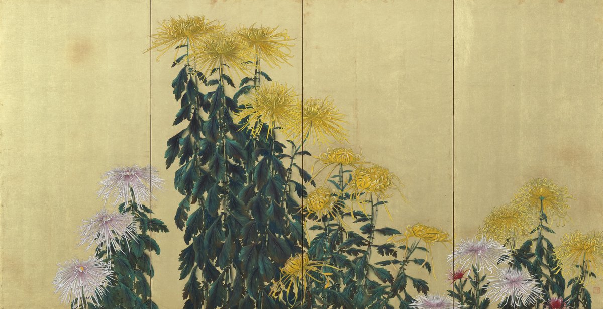 速水 御舟 はやみ ぎょしゅう Hayami Gyosyū 1894–1935 《菊花図