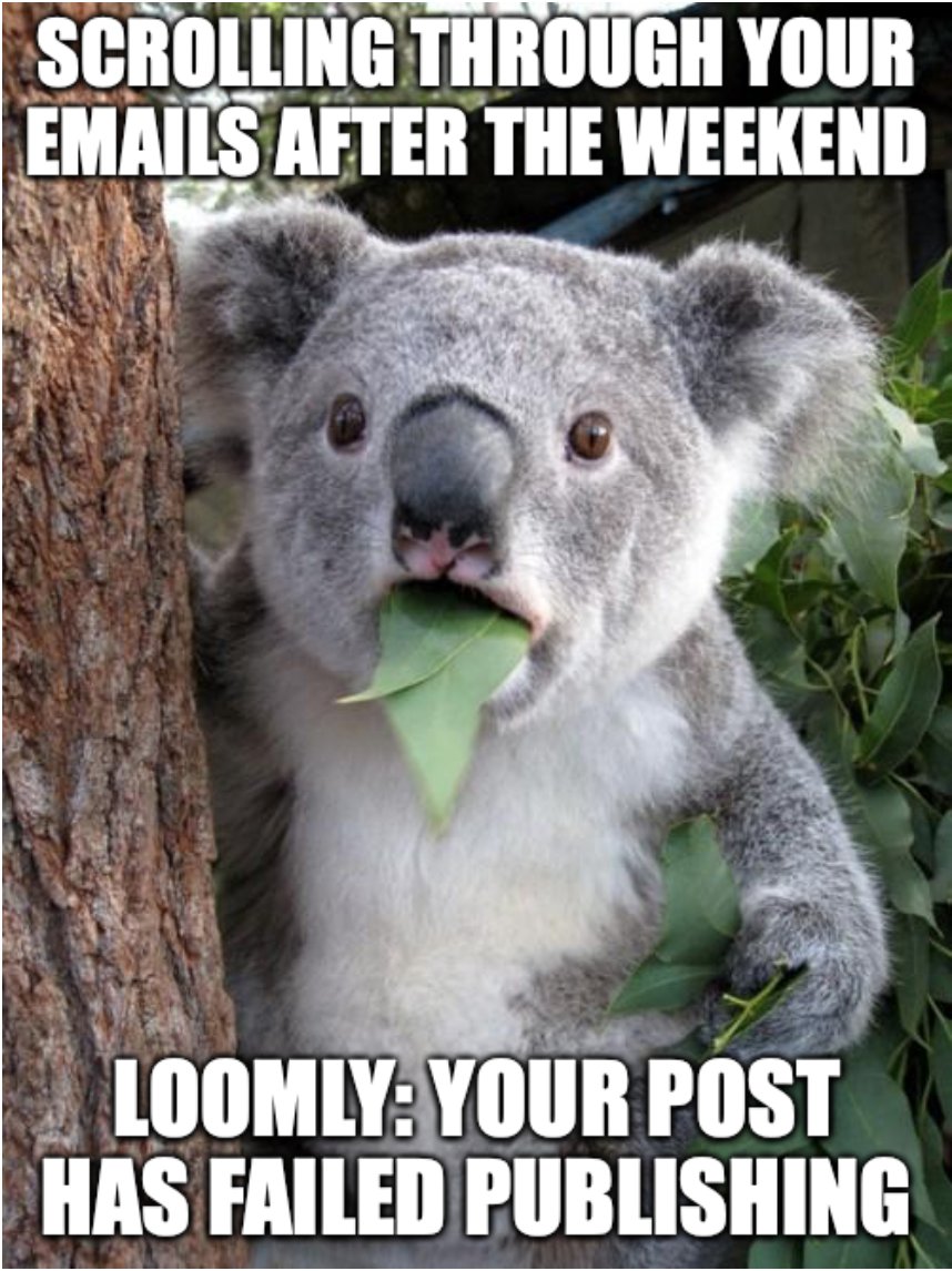 Manifesting this doesn't happen in Feb🤞

#28daysofsocial #meme #loomly