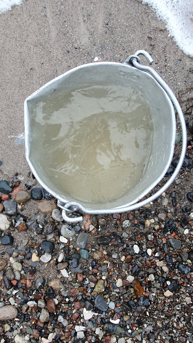 S04M0623 11:51 4,0°C SAL 11,6