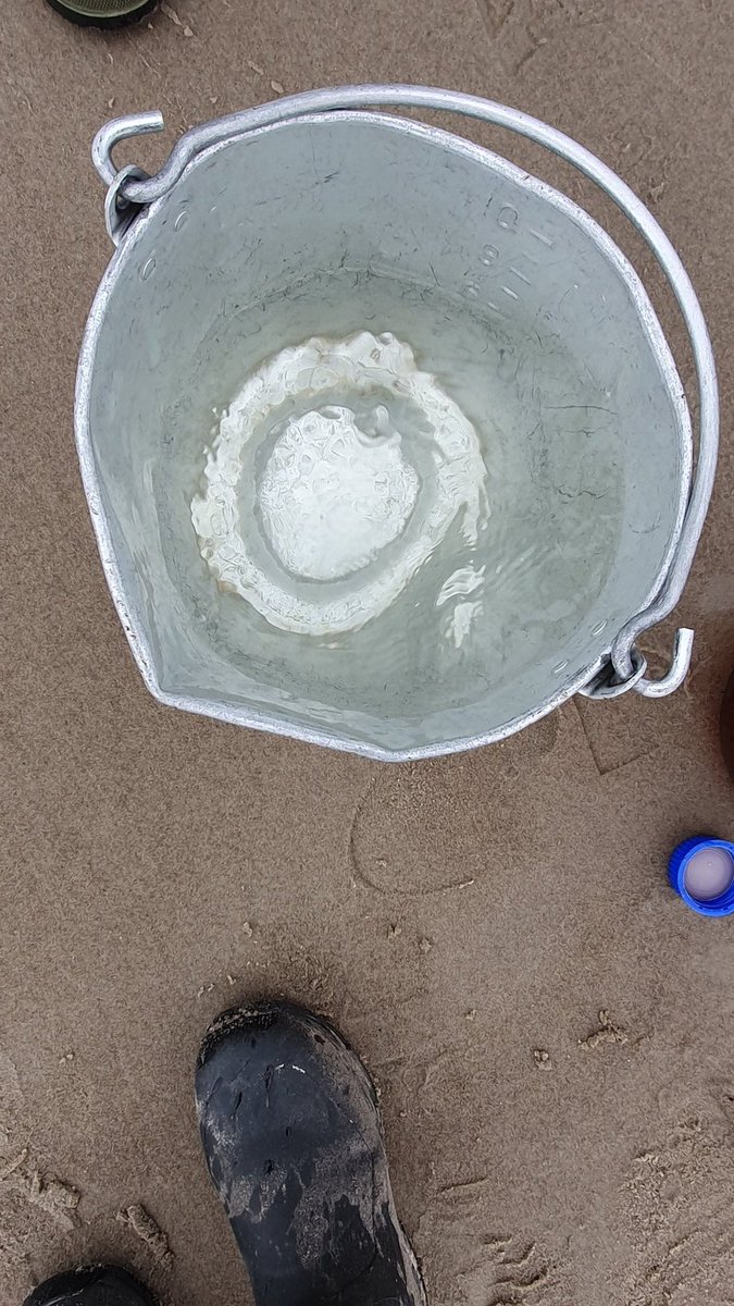 S07M0623 12:45 3,9°C SAL 11,9