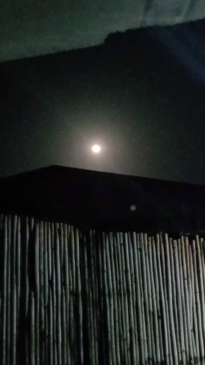 ritsooyaaa's tweet photo. The moon is beautiful, isn't it?
🌝 https://t.co/lACscVCfXw