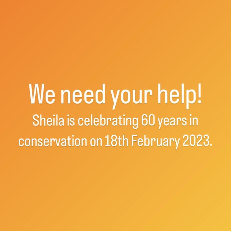 Landi_company's tweet image. We are putting together messages and memories from as many people as possible who have worked with Sheila, or been influenced by her. If you have anything to share, any stories, anecdotes or wishes, please contact us via DM or at enquiries@landico.co.uk #textileconservation