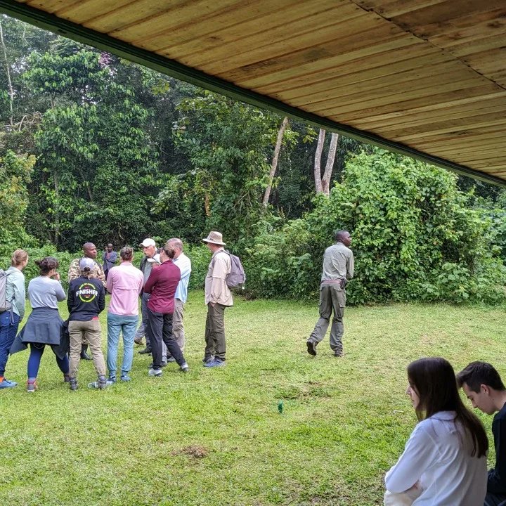 ExploreWildlif4's tweet photo. #Safari 

Today chimpanzee trekking experience in Uganda, Kibale National Park.
#Trending https://t.co/Am01ZsXRmx