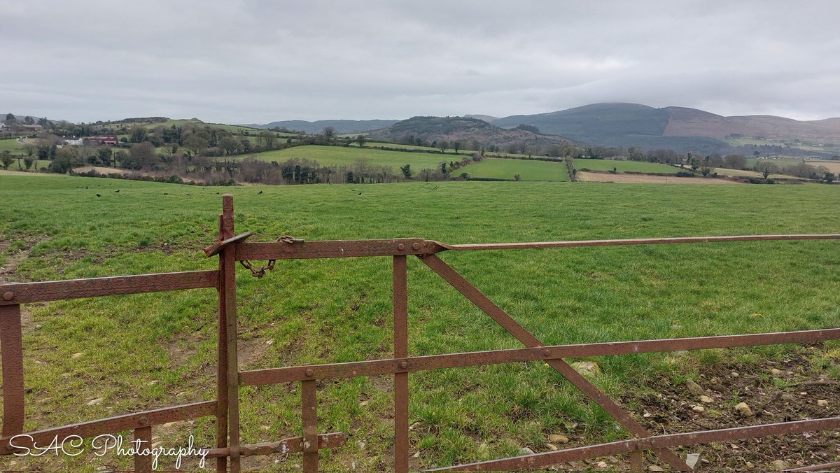 Hill of Faughart, Co Louth.