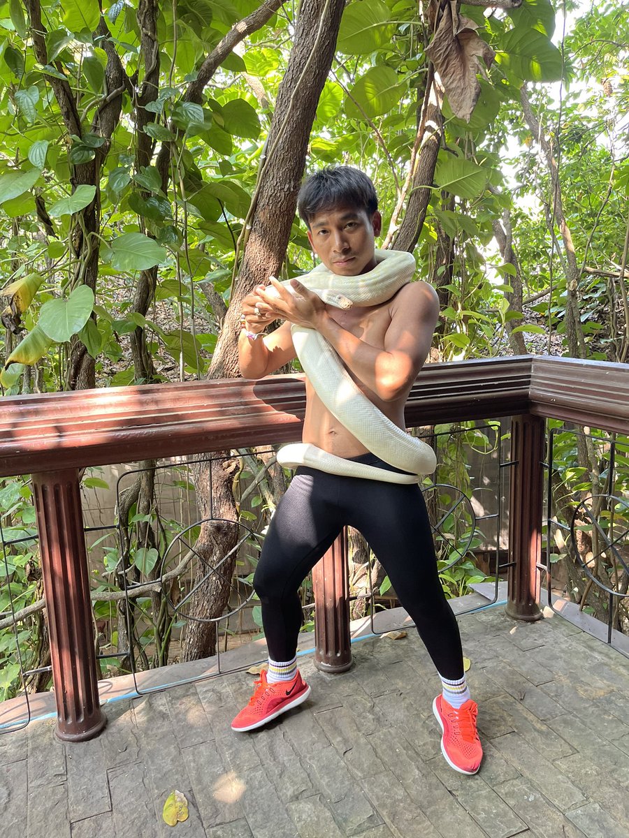oats_pancharut's tweet photo. 🦜🐘🐍

[6 ก.พ. 2566]

มองช้างคาเฟ่
หมู่บ้านช้างพัทยา
อ.บางละมุง จ.ชลบุรี

cr. @impeck92 

#oatspancharut
#thailand
#mongchangcafe 
#pattaya
#thailand
#พัทยา 
#หมู่บ้านช้างพัทยา
#มองช้างคาเฟ่
#เที่ยวได้ง่ายมาก
#พัทยา
#ชลบุรี https://t.co/V6AXEuIYPo