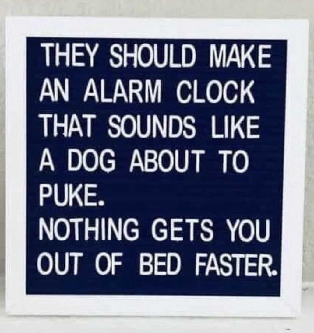 criswinter412's tweet image. 🙌🏼 FACT! 🤣🤣🤣 Happy Monday! 🐾

#mondaymotivation #mondayvibes #mondaymood #mondaymorning #monday #startoftheweek #makeitsgoodone #giveityourbestshot #dog #lifewithdogs #dogbarf #alarmclock #wakeup #wakeupcall