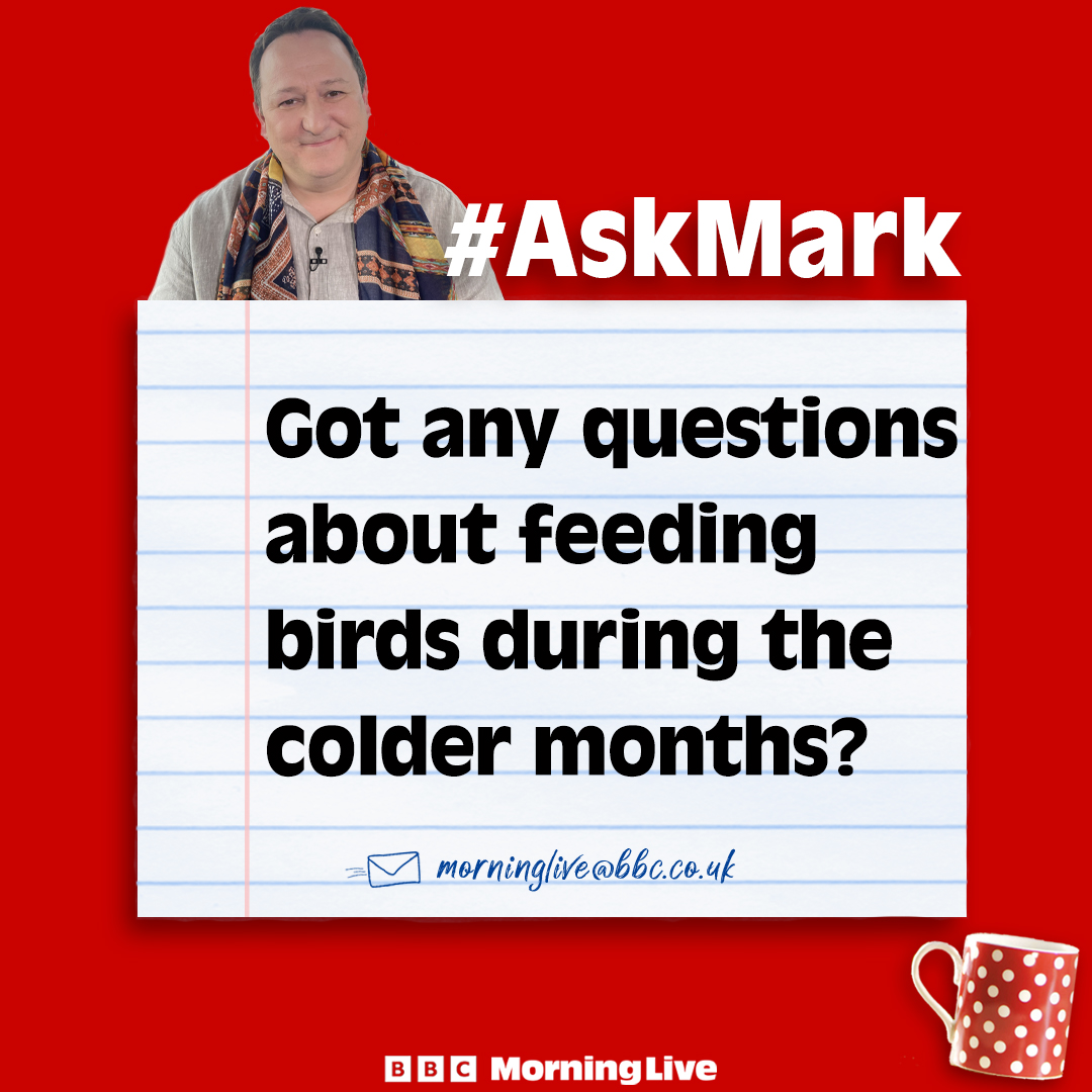 BBC Morning Live tweet media