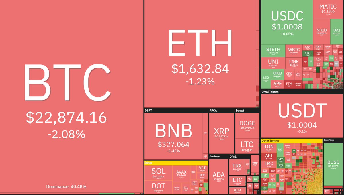 Conex Agency tweet media