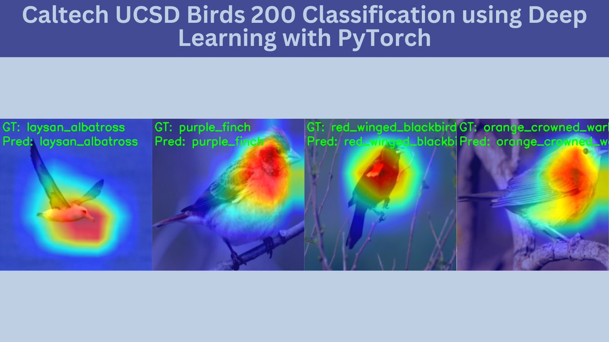 New post on DebuggerCafe. Train an EfficientNetB1 model on the Caltech UCSD Birds 200 dataset to recognize 200 species of birds. debuggercafe.com/caltech-ucsd-b… #PyTorch #ImageClassification #EfficientNet #NeuralNetworks #BirdClassification #AIforWildlife #ComputerVision #DeepLearning