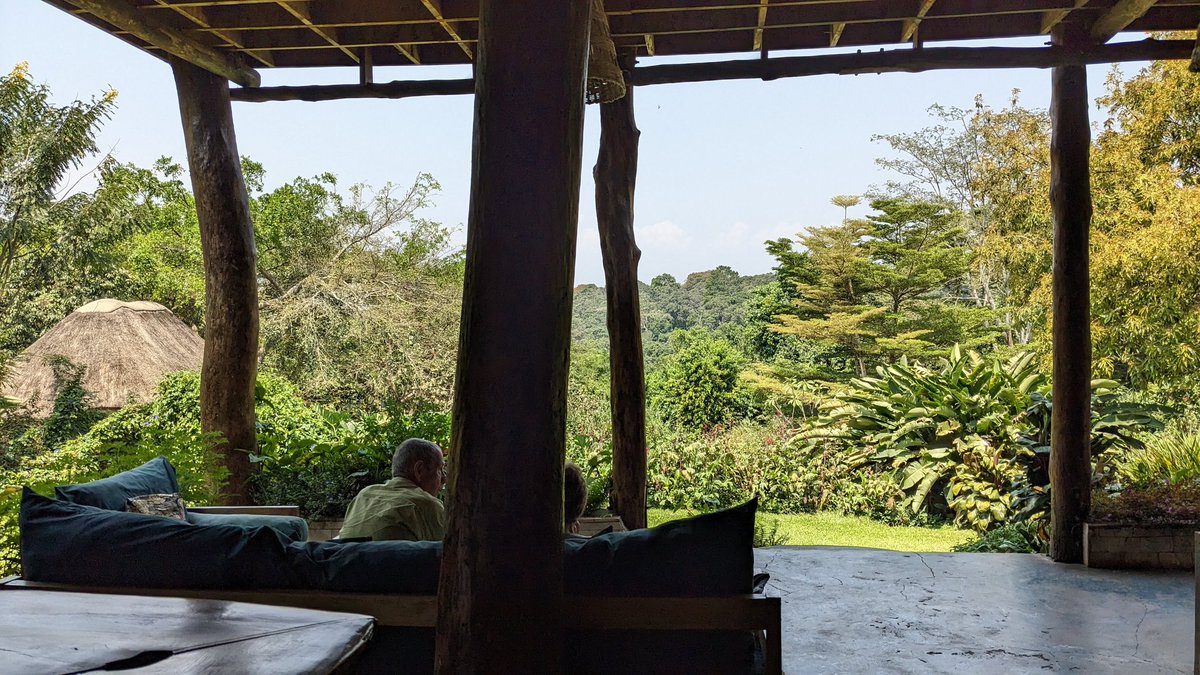 ExploreWildlif4's tweet photo. #traveling 

After our clients chimp trek having a cold beer in a wonderful lodge, the Turaco Treetops.
#primates https://t.co/DPvDKWZGV8