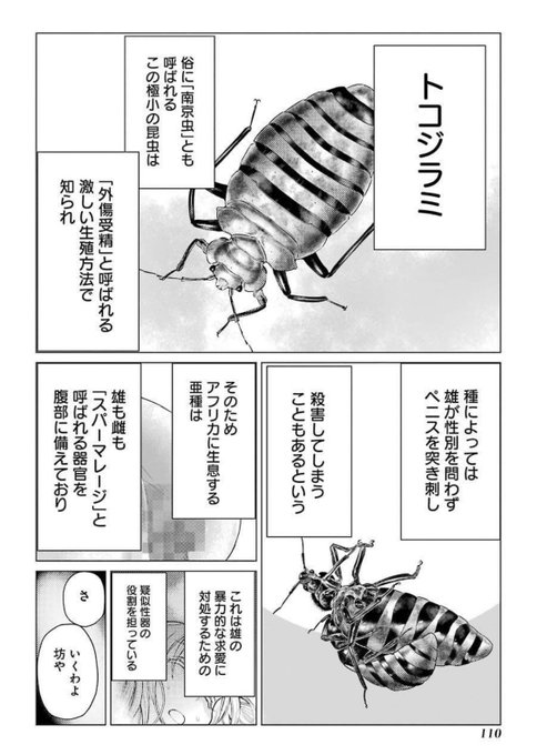 男の娘の童貞が奪われそうになる話② 