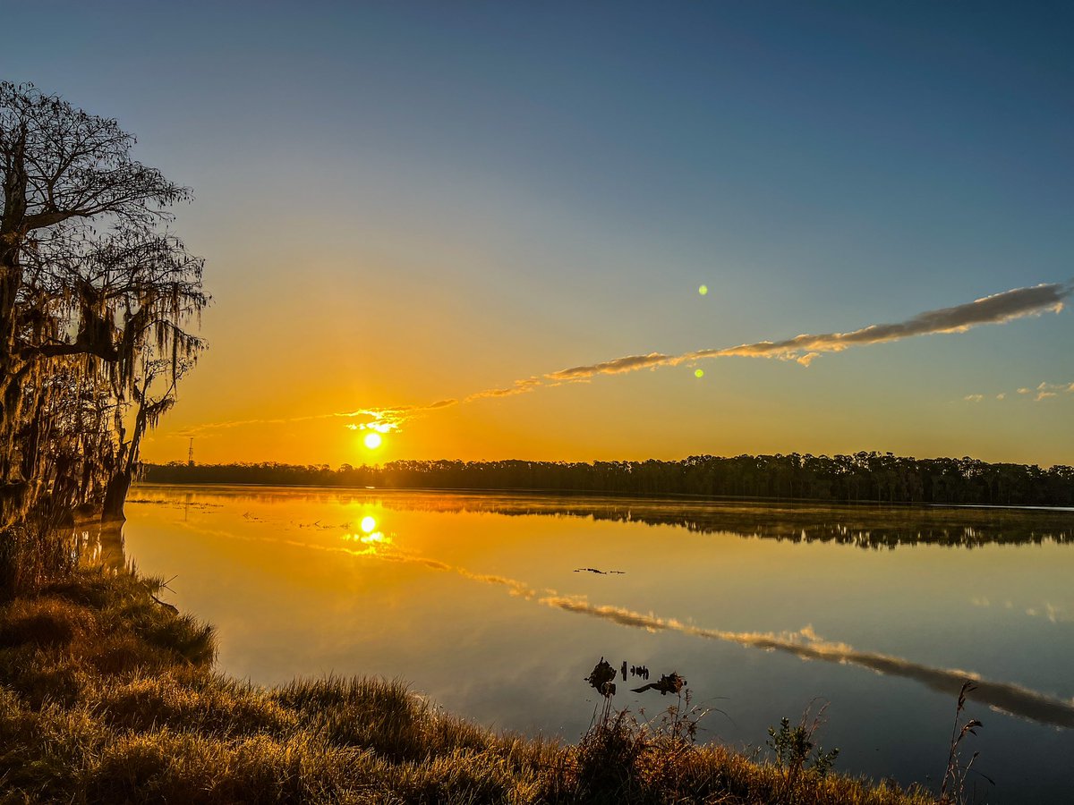 DmacDeere's tweet photo. Beautiful morning in Orlando! #GolfCourseSunrise https://t.co/IbgPhqCnwk