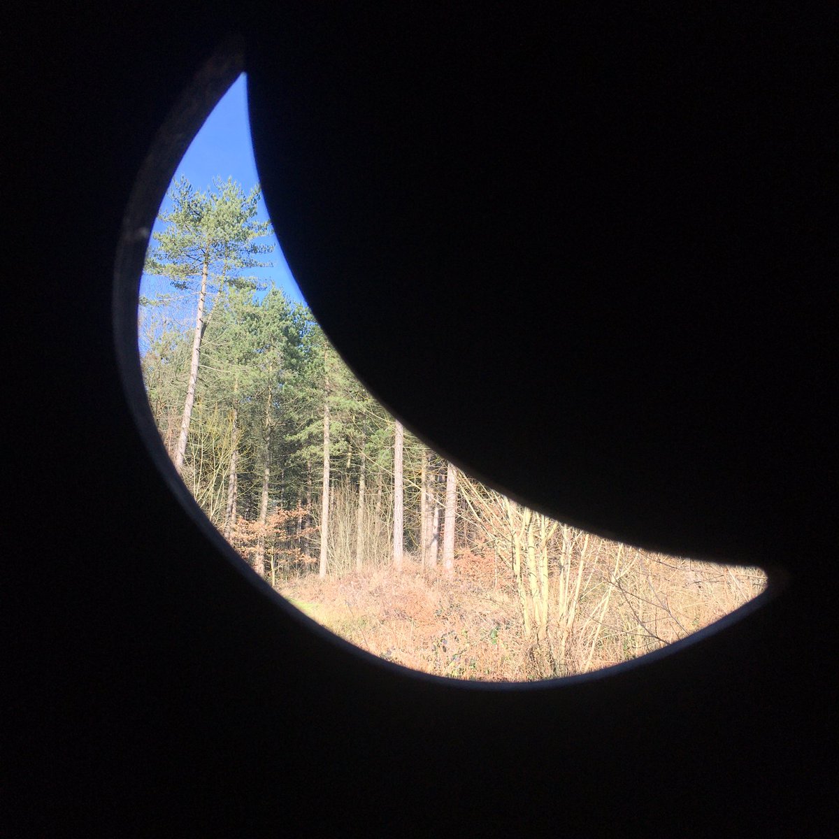 IBTTrees's tweet photo. Always appreciate this compost loo for our sessions in #GrenoWoods ! Favourite bits of #ForestSchool today were #HideAndSeek #BeingOutside and #HotChocolate @HolgateSEMH #CompostToilet @WildSheffield https://t.co/LqL2ad1ZBm