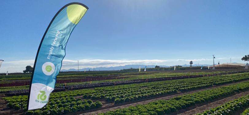 rijkzwaanES's tweet photo. Así de maravillosos están nuestros cultivos para que los visitéis desde hoy hasta próximo viernes en el #WinterOpenFieldDays e-vent 2023 #FreshlyForward que ha comenzado en nuestro Centro de Experimentación y Desarrollo - #CEDLaPalma en Cartagena (Murcia). ¡Os estamos esperando! https://t.co/JLgKXNbL2F