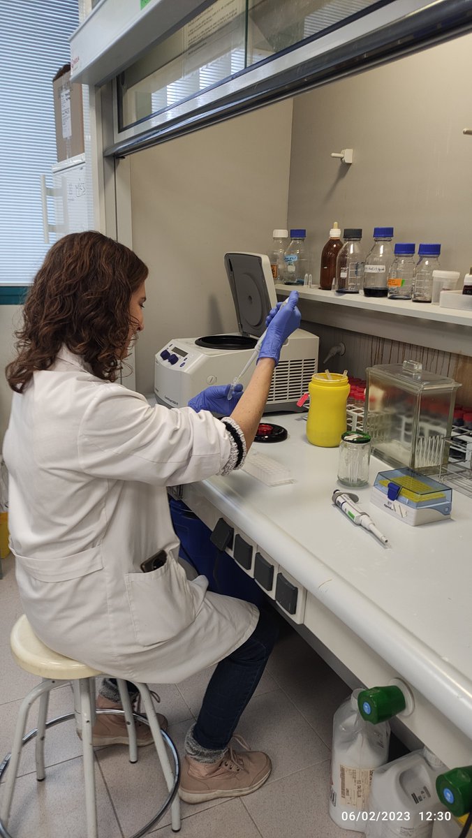 Plant Immunity and Biochemistry (@pibgroupir) on Twitter photo π©βππ©βππ©βπ¨#11F is the International Day of Women and Girls in Science!!
In our group we will celebrate it throughout the week by presenting all the women working in #Science
Raquel CerverΓ³π is one of our technicians
<a href="/UJIuniversitat/">Universitat Jaume I</a> <a href="/ESTCE_UJI/">ESTCE-UJI</a>
#womeninscience #WomenInSTEM π©βππ©βππ©βπ¨#11F is the International Day of Women and Girls in Science!!
In our group we will celebrate it throughout the week by presenting all the women working in #Science
Raquel CerverΓ³π is one of our technicians
<a href="/UJIuniversitat/">Universitat Jaume I</a> <a href="/ESTCE_UJI/">ESTCE-UJI</a>
#womeninscience #WomenInSTEM